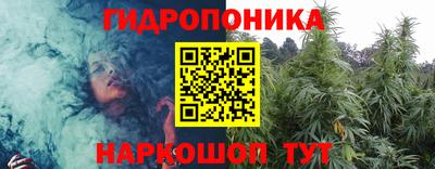 спиды Пугачёв