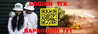 индика Пушкино