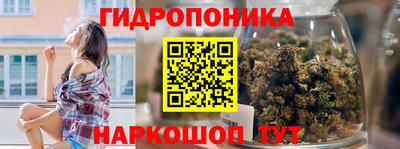 индика Пушкино
