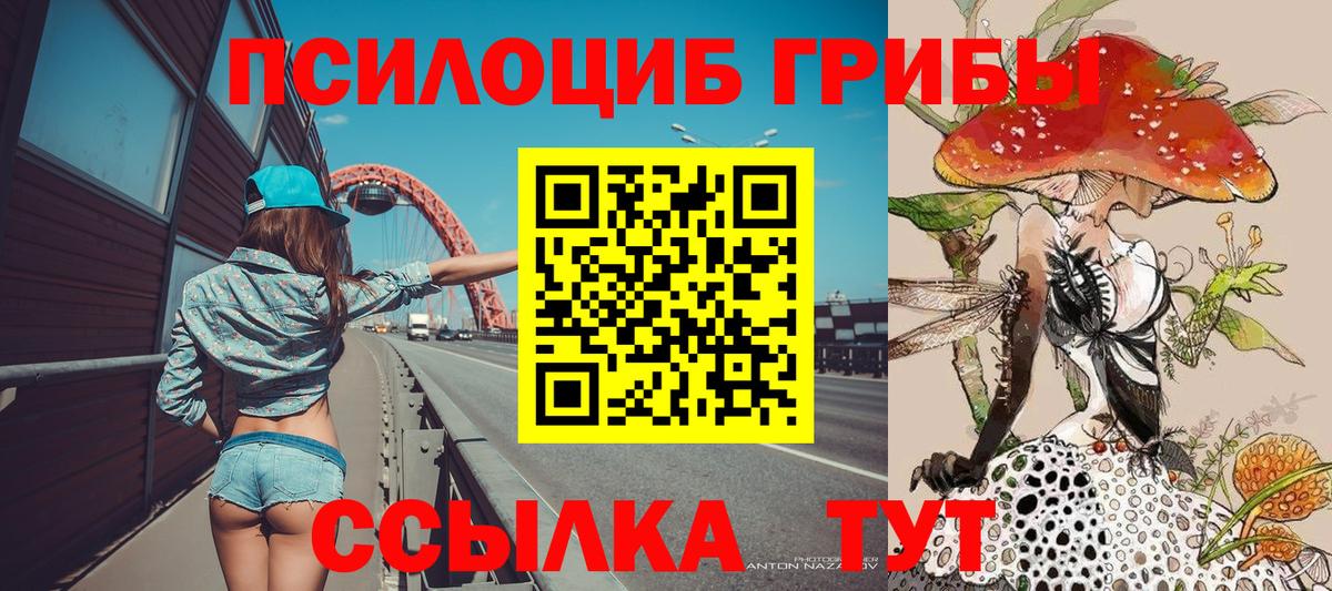 Псилоцибиновые грибы прущие грибы Соль-Илецк