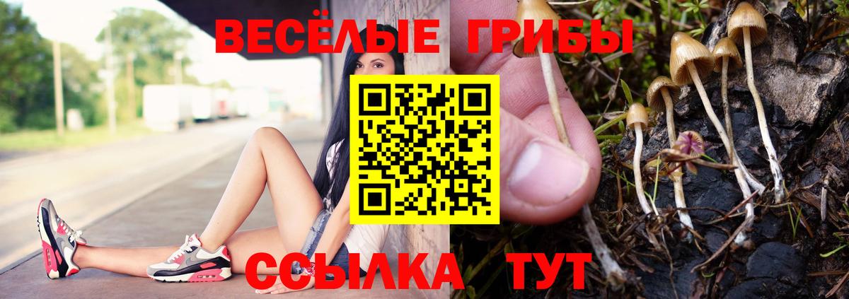 Галлюциногенные грибы мицелий  Галлюциногенные грибы MAGIC MUSHROOMS  Соль-Илецк  Вход с VPN 